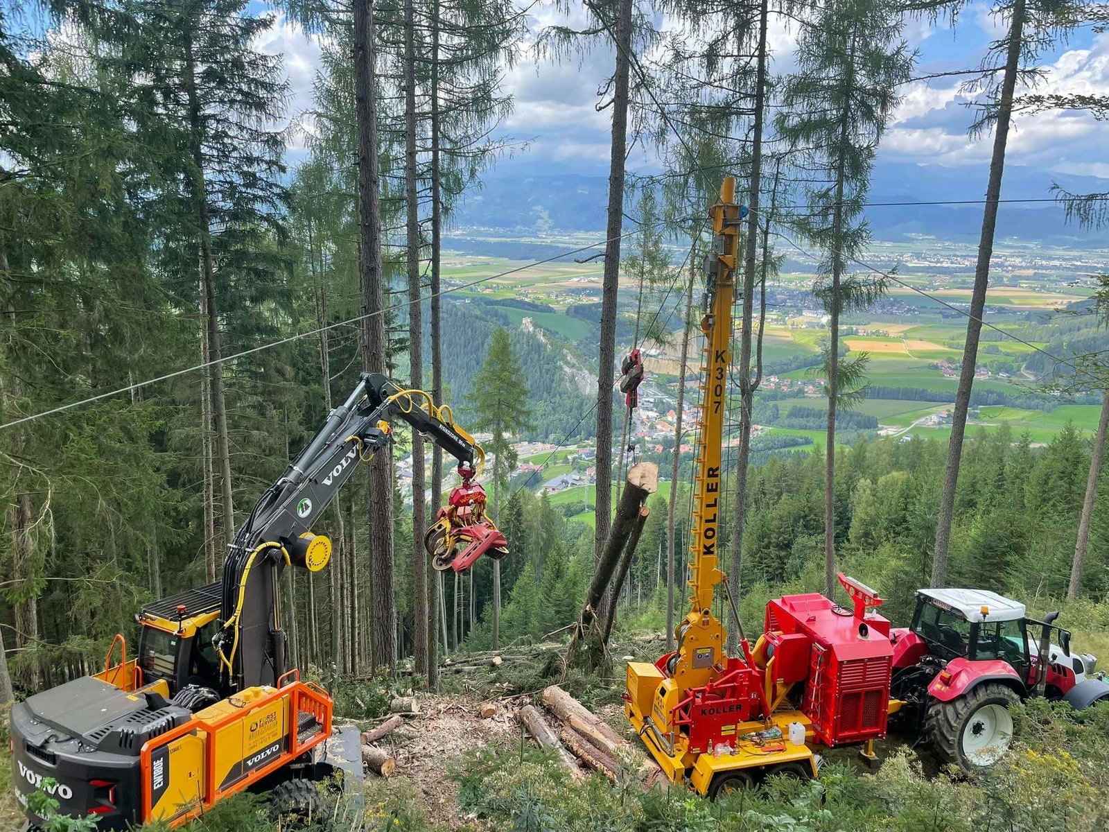 Abseilen der Baumstämme